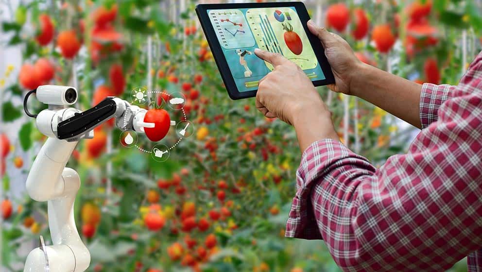ROBOTIC AGRICULTURE WILL FEED THE MOUTHS WITH NFT COINS