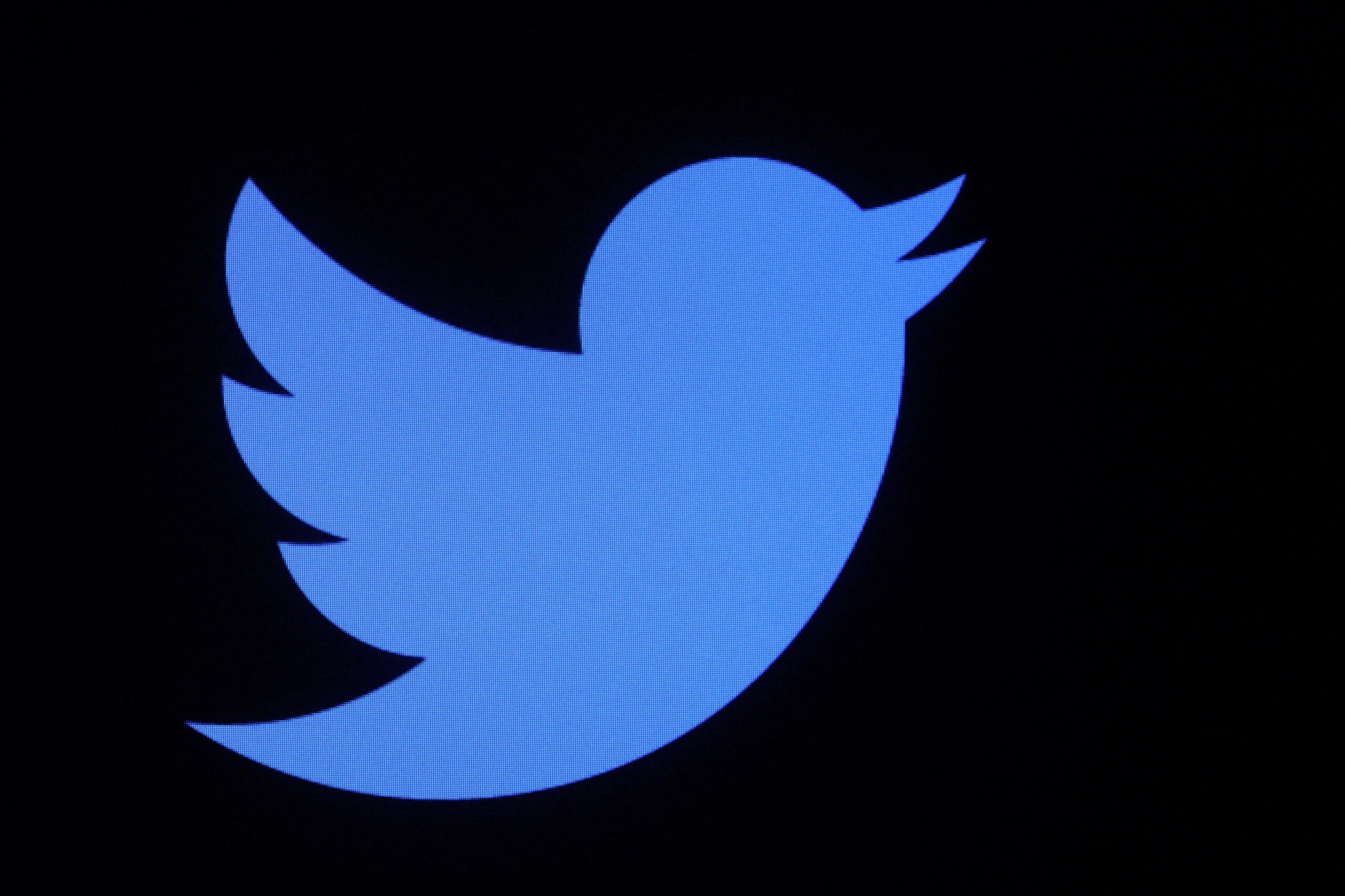 Twitter CEO backs widely criticized tweet-reading rate limits